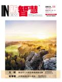  2013年11月刊 新智慧·合订本 